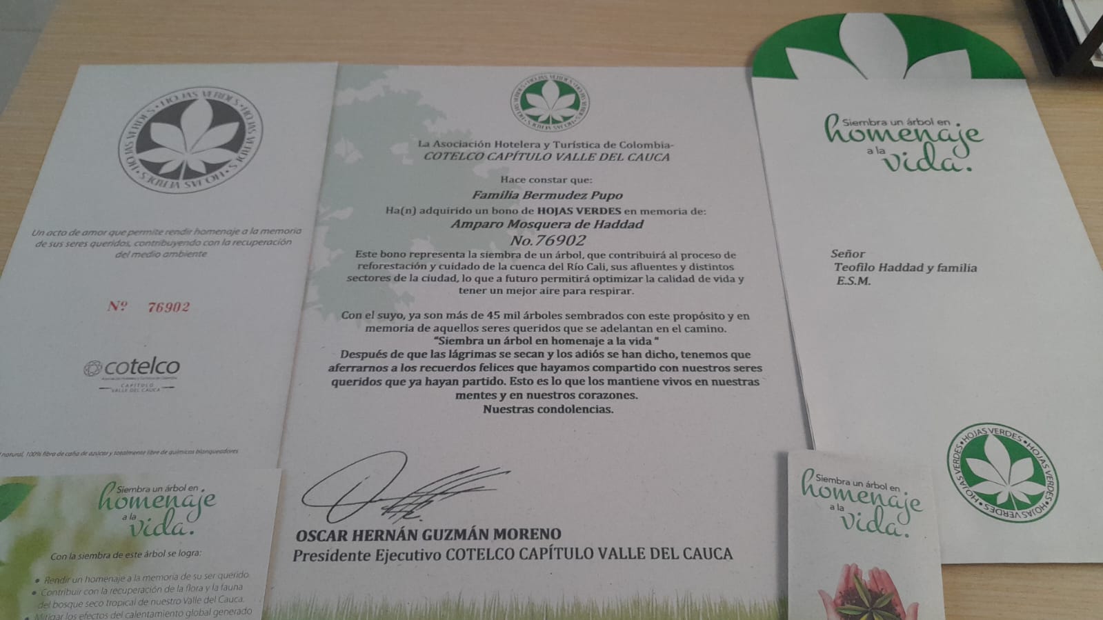 Corona Verde Flora + Bono Hojas Verdes Cali o Bogota